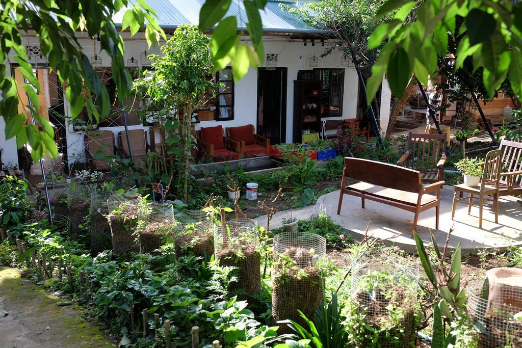 Lang Boho Homestay Đà Lạt Extérieur photo