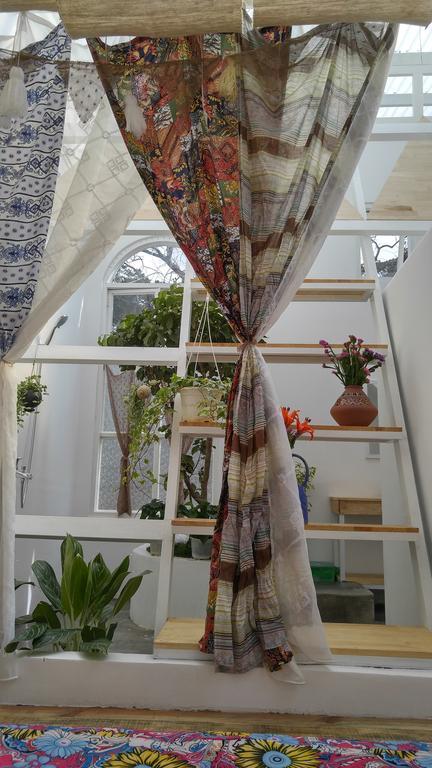 Lang Boho Homestay Đà Lạt Extérieur photo